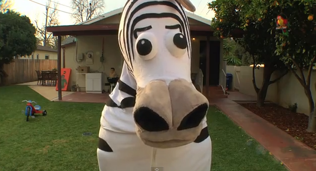 Schermata 2012 01 19 a 23.49.08 Dope Zebra | Funny Dance Commercial
