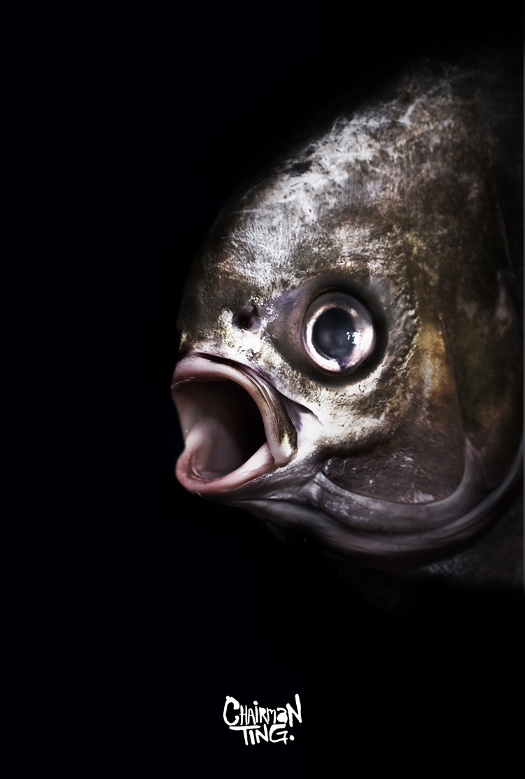 TING Pomfret1 Pomfret Portraits by @Chairman Ting
