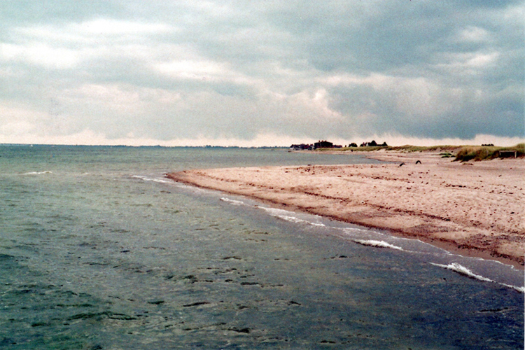 Analog photography filled with atmosphere by Jillian Marleen Becker a Analog photography filled with atmosphere by Jillian Marleen Becker