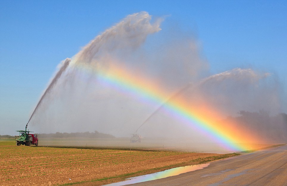 Water truck catches the rainbow article 0 11774663000005DC 967 964x625 Water truck catches the rainbow