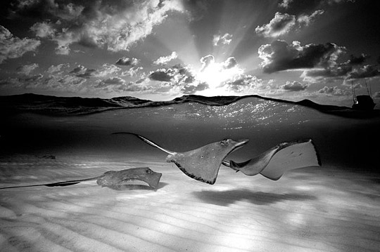 dyt1c7 DAILY INSPIRATIONS FOR DYT #237