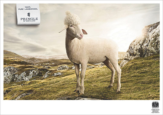 DAILY INSPIRATIONS FOR DYT #239 dyt1f9 DAILY INSPIRATIONS FOR DYT #239