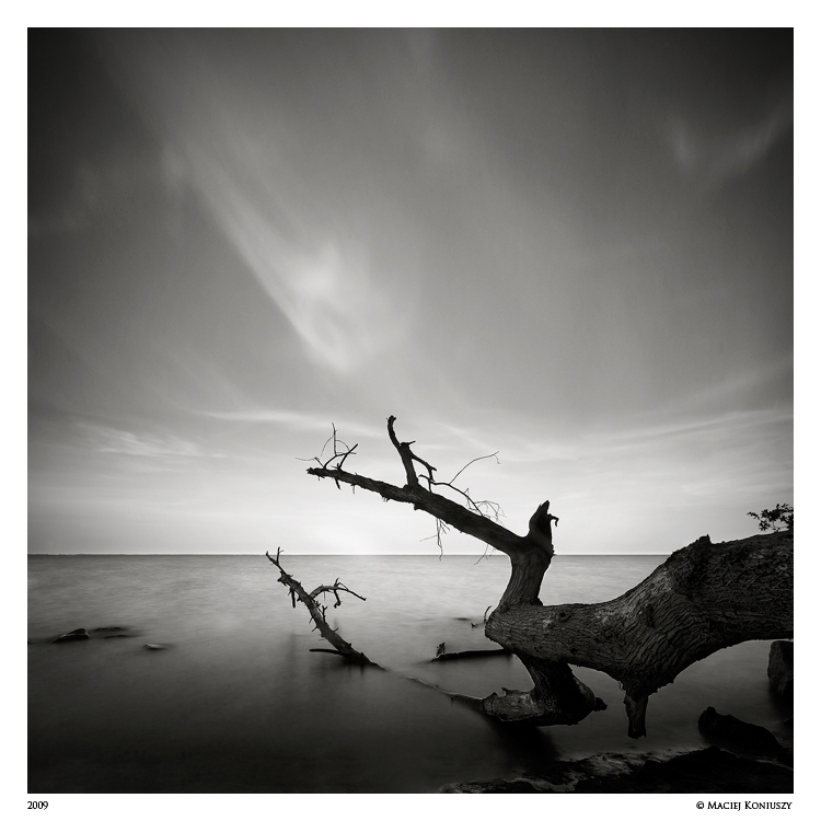 ex02 The Land of Dreams V by Maciej Koniuszy Fine Art Photography by Maciej Koniuszy