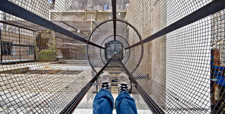 feeldesain Life on the Edge by Dennis Maitland1 Life on the Edge by Dennis Maitland