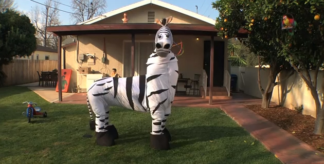 feeldesain dope zebra  Dope Zebra | Funny Dance Commercial