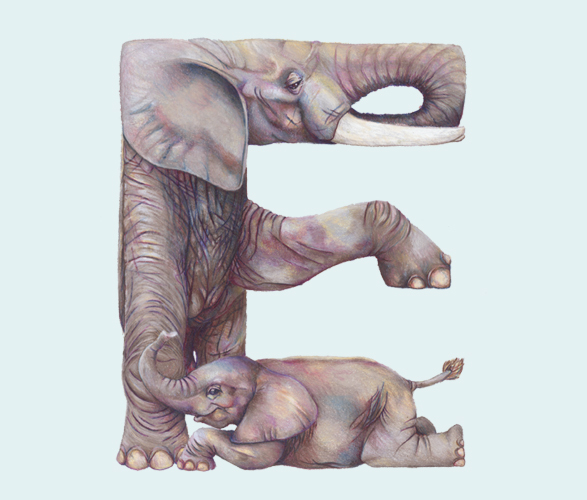 i1c124 pic on Design You Trust i1c124 Animals in Alphabet by Casey Girard