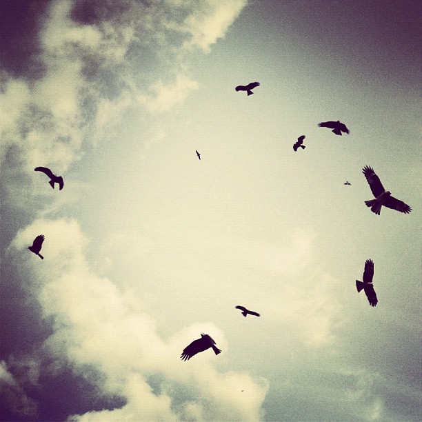 This weeks Instagram photos of the day in1 This weeks Instagram photos of the day