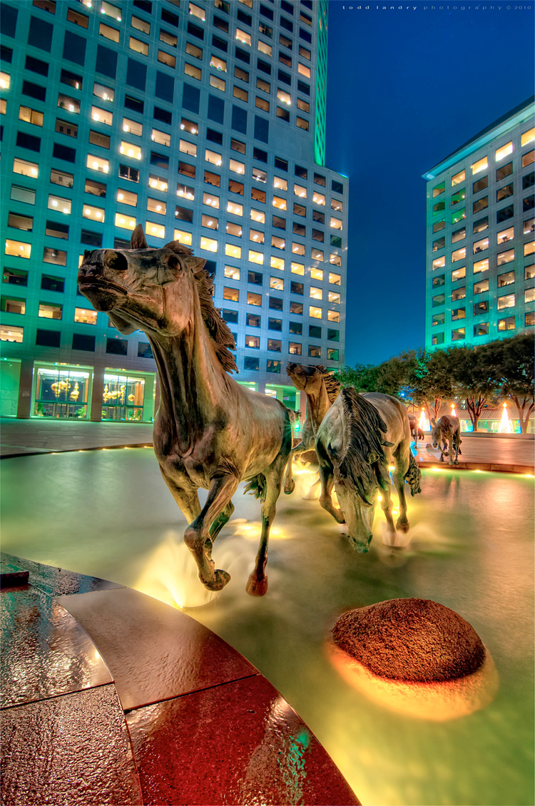 mustangs 02 Mustangs at Las Colinas: Photos by Todd Landry
