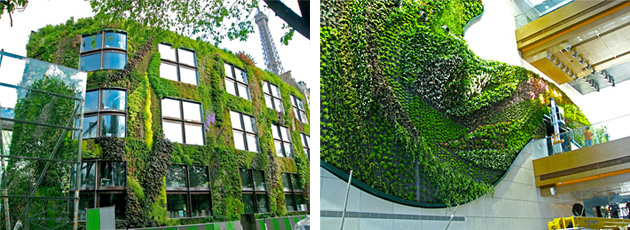 000 vertical gardens Vertical Gardens by Patrick Blanc