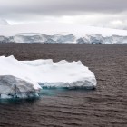 1329 140x140 Moments in Antarctica / Kadavre Exquis