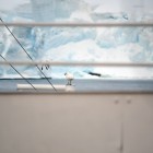 1812 140x140 Moments in Antarctica / Kadavre Exquis