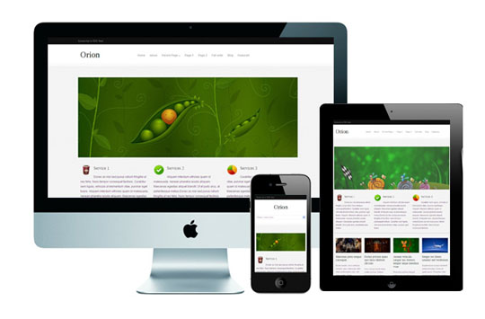 21.free responsive wordpress themes pic on Design You Trust 21.free responsive wordpress themes 28 Free Responsive WordPress Themes