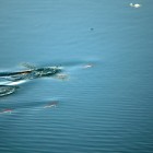 2112 140x140 Moments in Antarctica / Kadavre Exquis