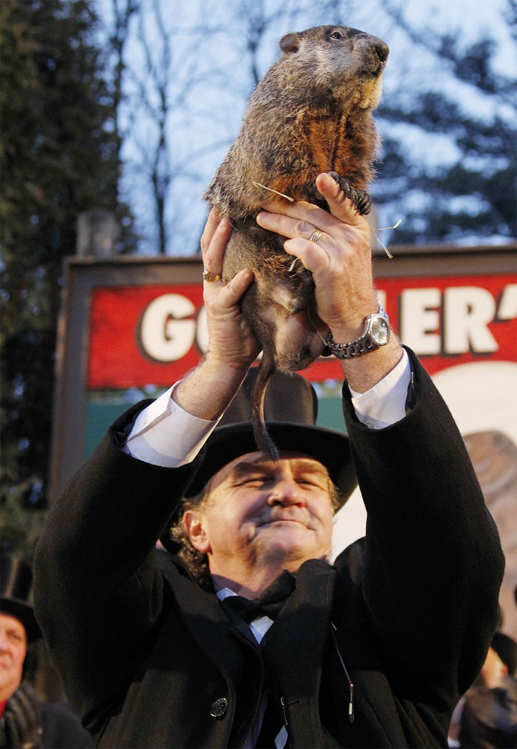 Groundhog Day 2012: Phil Predicts 6 More Weeks of Winter 217 Groundhog Day 2012: Phil Predicts 6 More Weeks of Winter