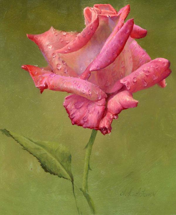 24600 735 Rose Paintings by Alexei Antonov