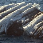 3110 140x140 Moments in Antarctica / Kadavre Exquis