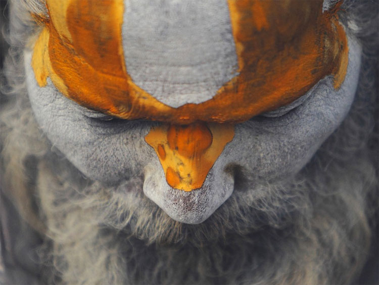 Happy Mahashivaratri: Hindu Devotees Celebrate the Festival With Religious Fervor 3124 Happy Mahashivaratri: Hindu Devotees Celebrate the Festival With Religious Fervor