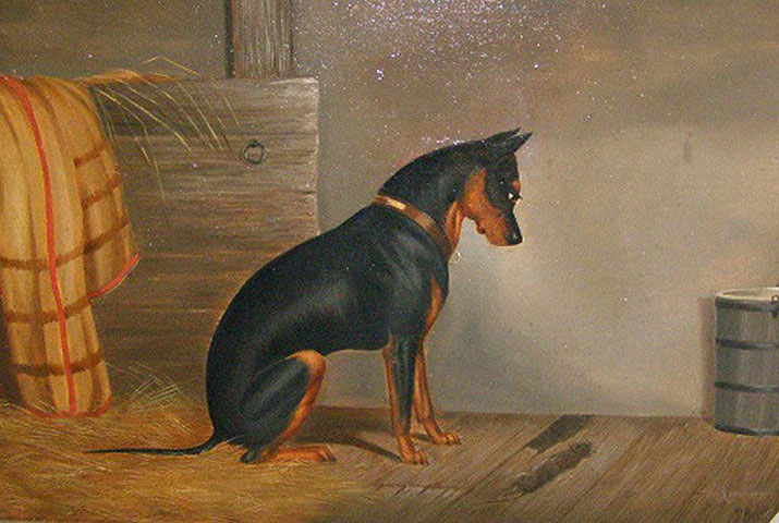 319 Manchester Terriers Exhibition