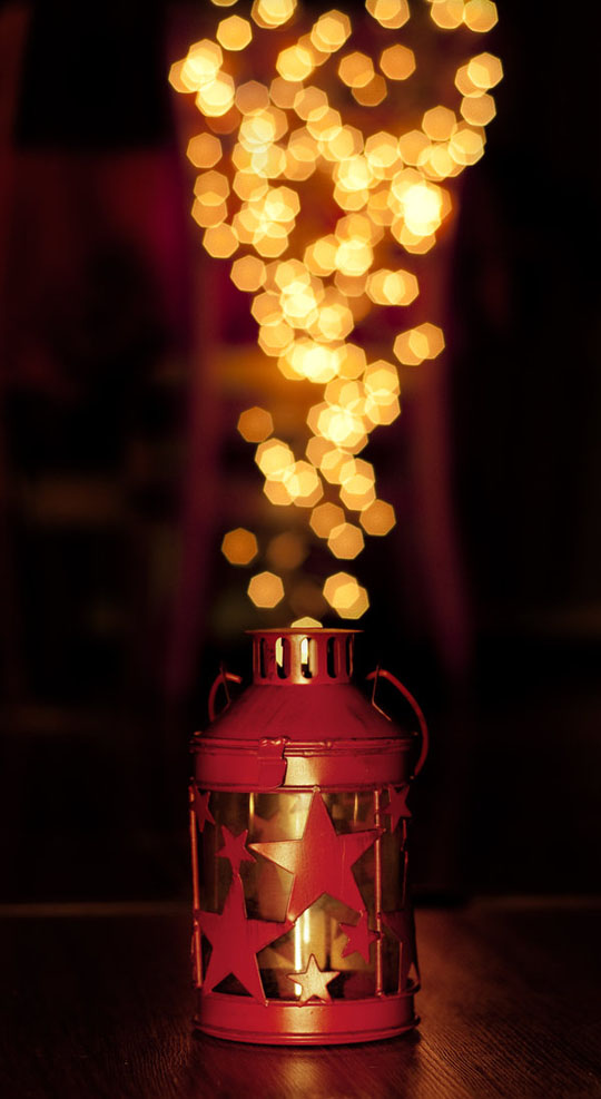 35.bokeh photography 40 Wonderful Examples of Bokeh Photography