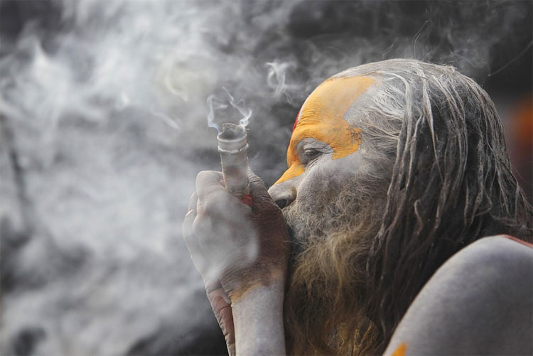 Happy Mahashivaratri: Hindu Devotees Celebrate the Festival With Religious Fervor 4103 Happy Mahashivaratri: Hindu Devotees Celebrate the Festival With Religious Fervor