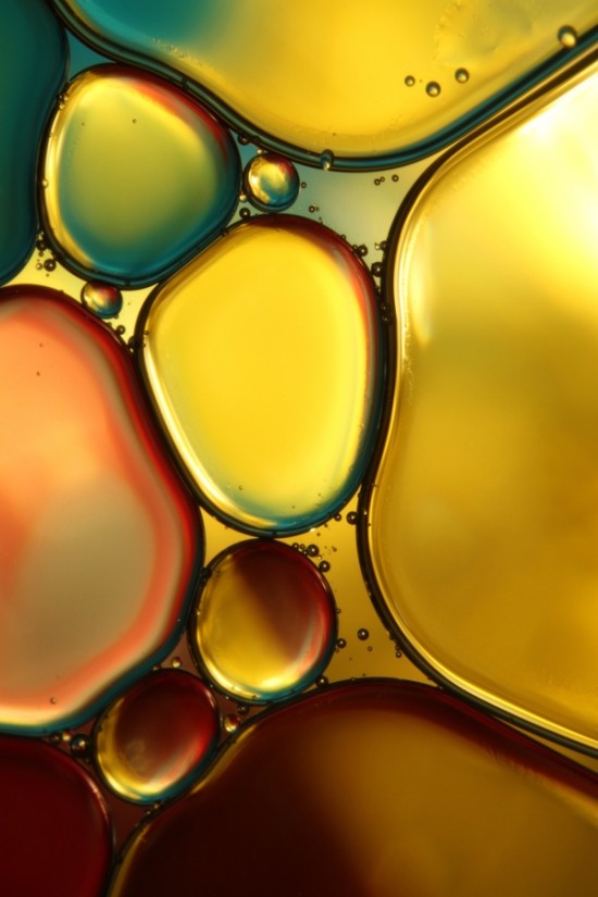 452387 550x825 Sharon Johnstone Macro Photography