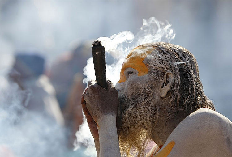 Exotic Hindu Festival Starts on February 20 483 Exotic Hindu Festival Starts on February 20