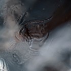 488 140x140 Moments in Antarctica / Kadavre Exquis