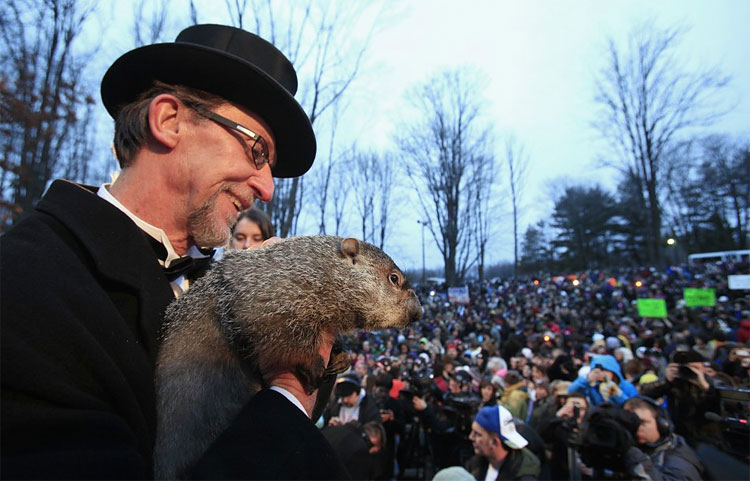 Groundhog Day 2012: Phil Predicts 6 More Weeks of Winter 513 Groundhog Day 2012: Phil Predicts 6 More Weeks of Winter