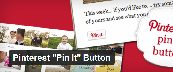 52 pic on Design You Trust 52 5 Free Pinterest Plugins for WordPress