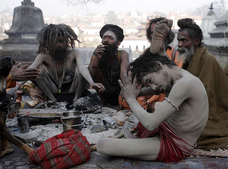 Exotic Hindu Festival Starts on February 20 673 Exotic Hindu Festival Starts on February 20