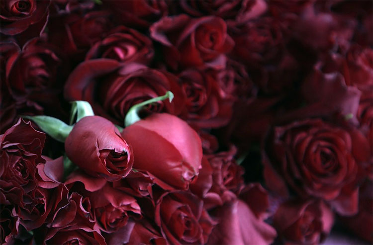 Loves In the Air: Valentine’s Day Celebrations Kick Off 933 Loves In the Air: Valentine’s Day Celebrations Kick Off