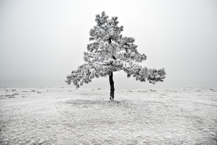 AKOS MAJOR 10 750x501 Stunning Pictures By Ákos Major 