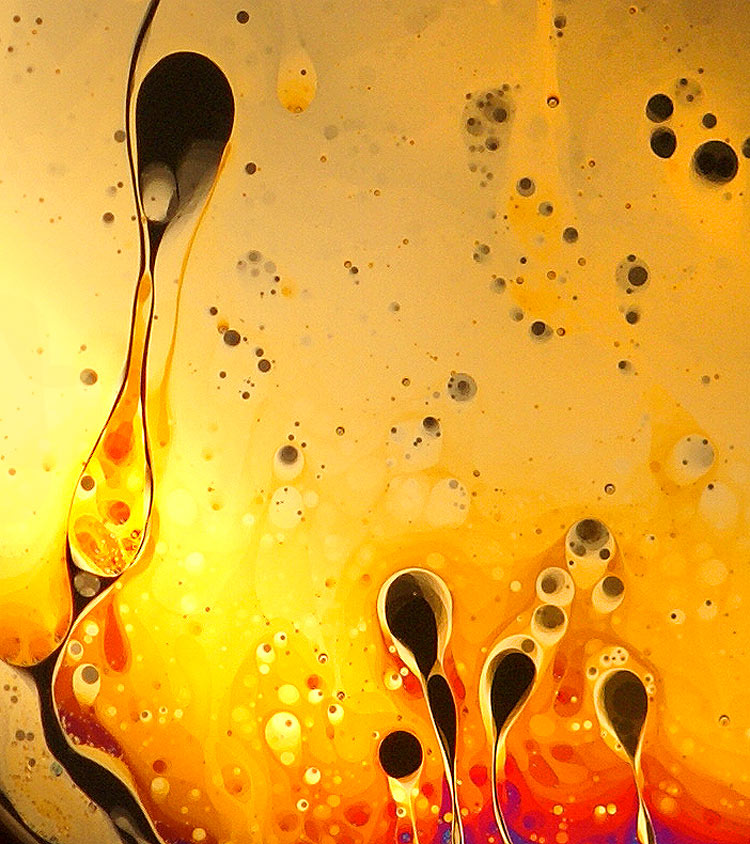 Soap bubbles and macro by Jane Thomas DYT Jane Thomas 2 Soap bubbles and macro by Jane Thomas
