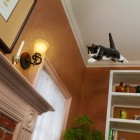 Jill Greenberg6 140x140 Animal Photography by Jill Greenberg
