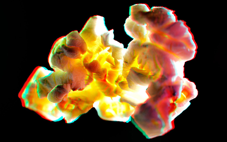 Kfir Ziv POP3D 08 3D Popcorn
