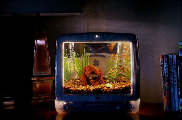 Macquarium 2 Macquarium – iMac Aquarium
