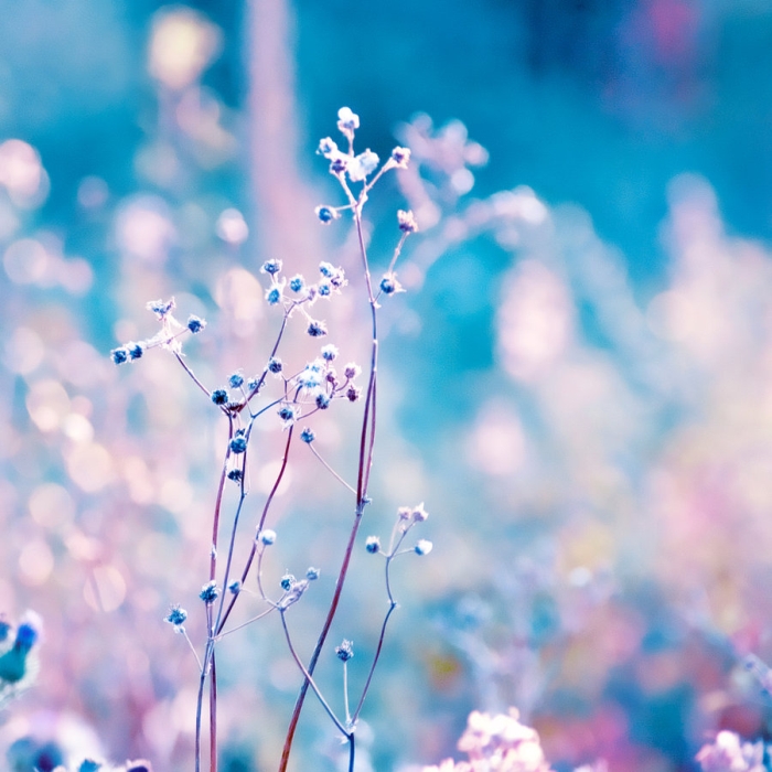 Photo Ins 23 02 Photography Inspiration Week 23