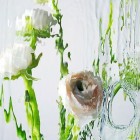 Satoshi Kobayashi7 140x140 Still Life Photography by Satoshi Kobayashi