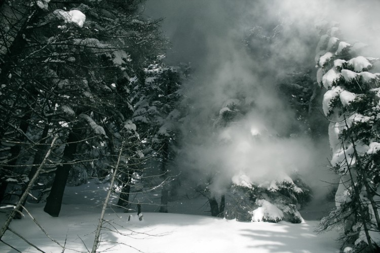 Snowland 2237 by FKSD Photo 750x499 Snowland   Photo Impressions By FKSD 