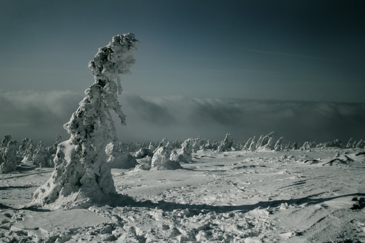 Snowland 2294 by FKSD Photo 750x499 Snowland   Photo Impressions By FKSD 