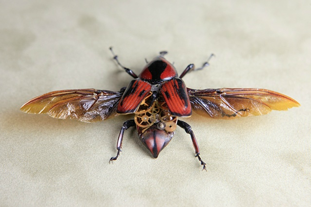 Steampunk Insects by Lindsey Bessanson Steampunk Insects Lindsey Bessanson Steampunk Insects by Lindsey Bessanson