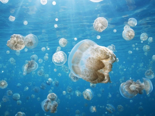 50 Photos of the Day by National Geographic vol. 3 c1a10 50 Photos of the Day by National Geographic vol. 3