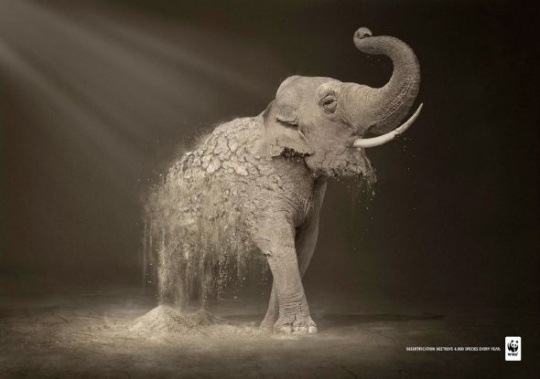 c1a12 Animals in Print Ads