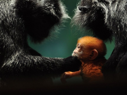 50 Photos of the Day by National Geographic vol. 4 c1a20 50 Photos of the Day by National Geographic vol. 4