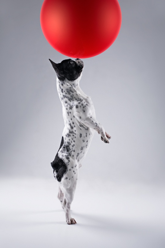 Daily Inspirations no. 364 c1a29 Daily Inspirations no. 364