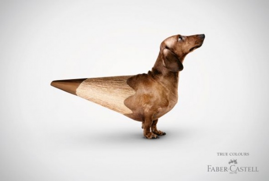 c1b12 pic on Design You Trust c1b12 Animals in Print Ads