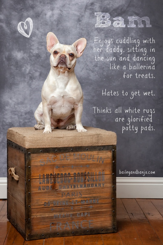 Daily Inspirations no. 361 c1b22 Daily Inspirations no. 361