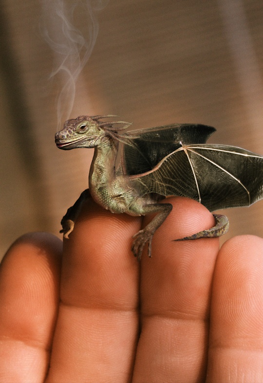 Daily Inspirations no. 369 c1c39 Daily Inspirations no. 369
