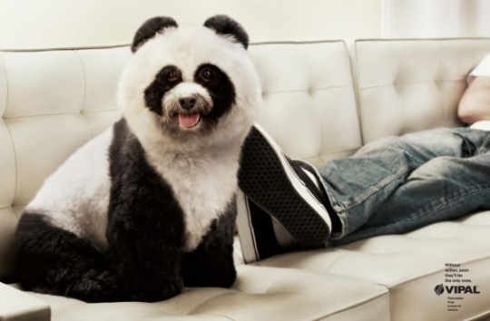 c1d12 pic on Design You Trust c1d12 Animals in Print Ads