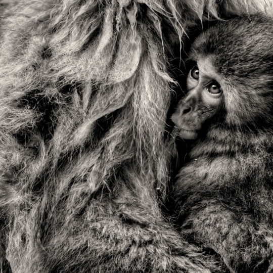 Daily Inspirations no. 358 c1d15 Daily Inspirations no. 358